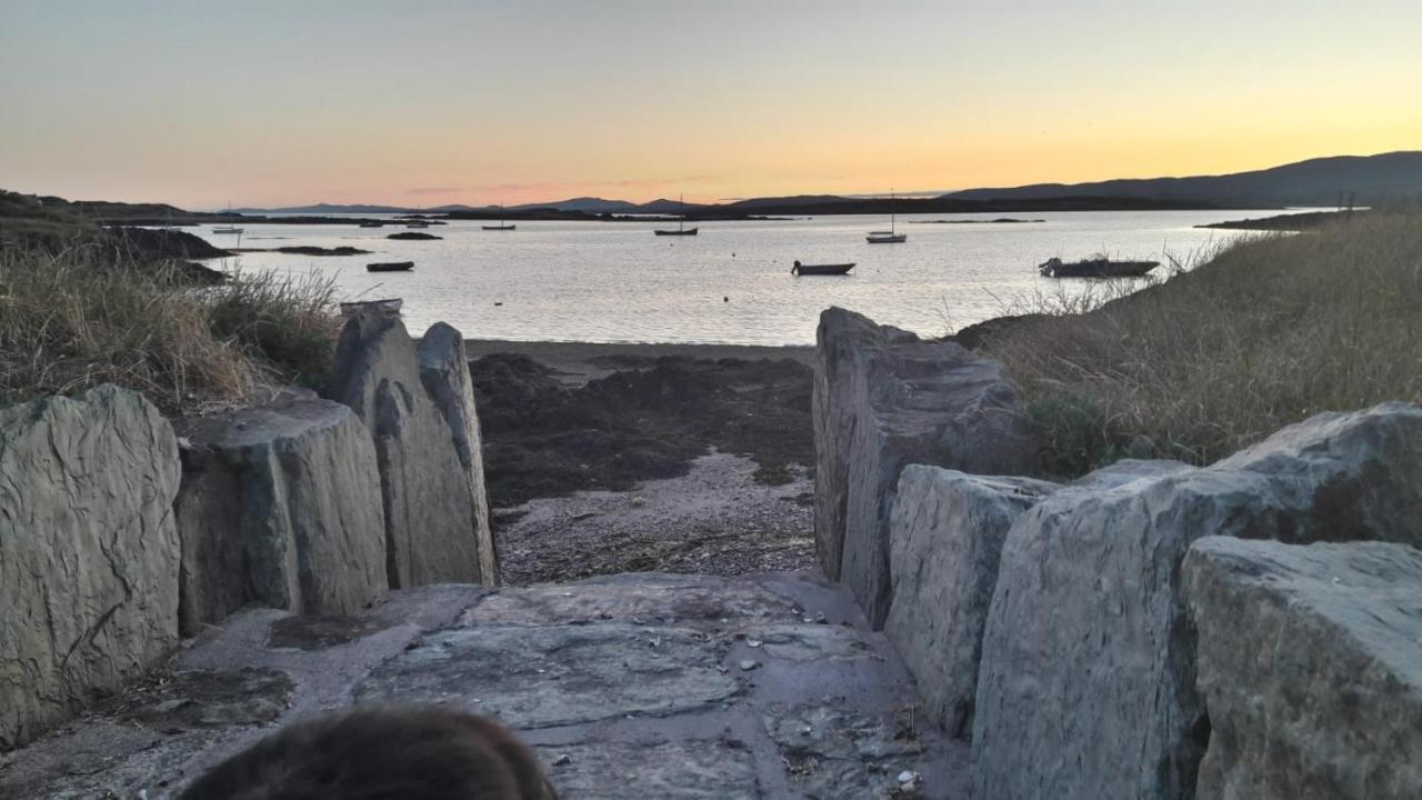 Heir Island House Bed and Breakfast Skibbereen Εξωτερικό φωτογραφία