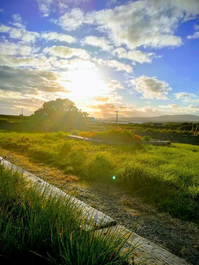 Heir Island House Bed and Breakfast Skibbereen Εξωτερικό φωτογραφία